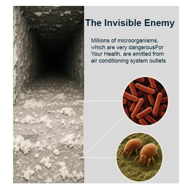 Air duct mold removal near me