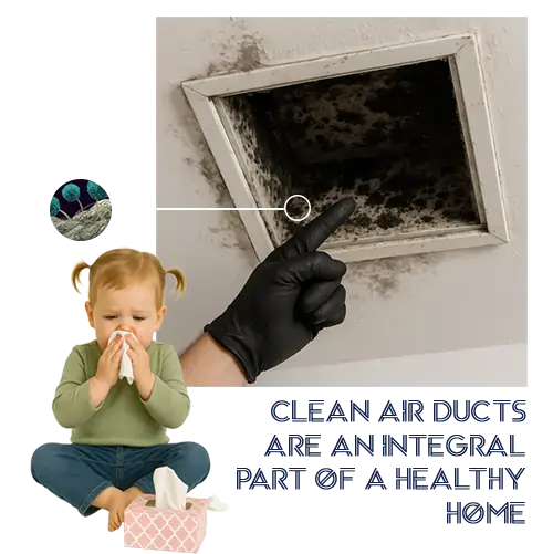 air duct mold inspection